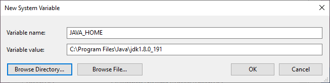 New System Variable dialog
