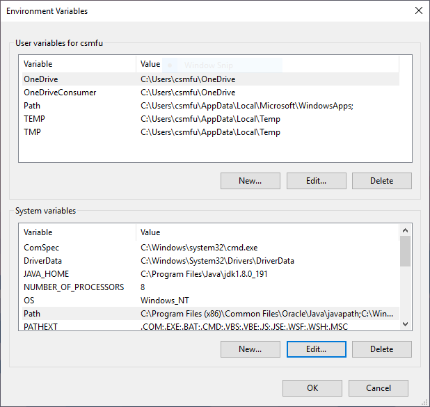 Path selected in the System variables list